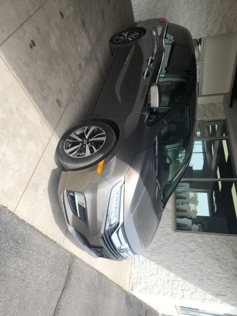 2018 Honda Odyssey Elite's photo
